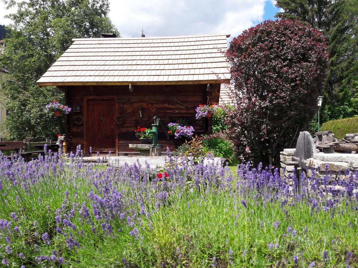 Hotel Stegmuehlhof Mauterndorf  Ngoại thất bức ảnh